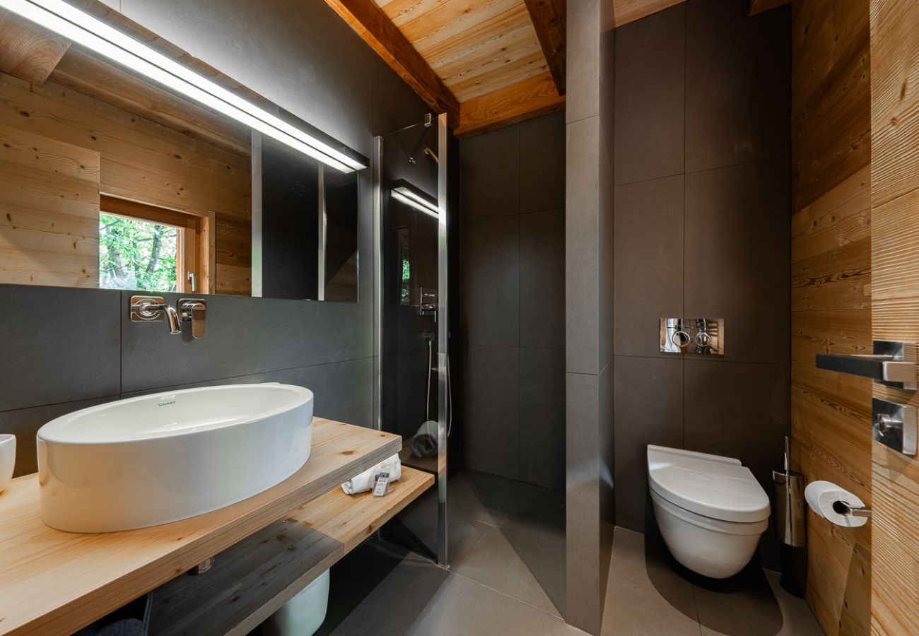 Chalet in La Salle-les-Alpes - Belliou