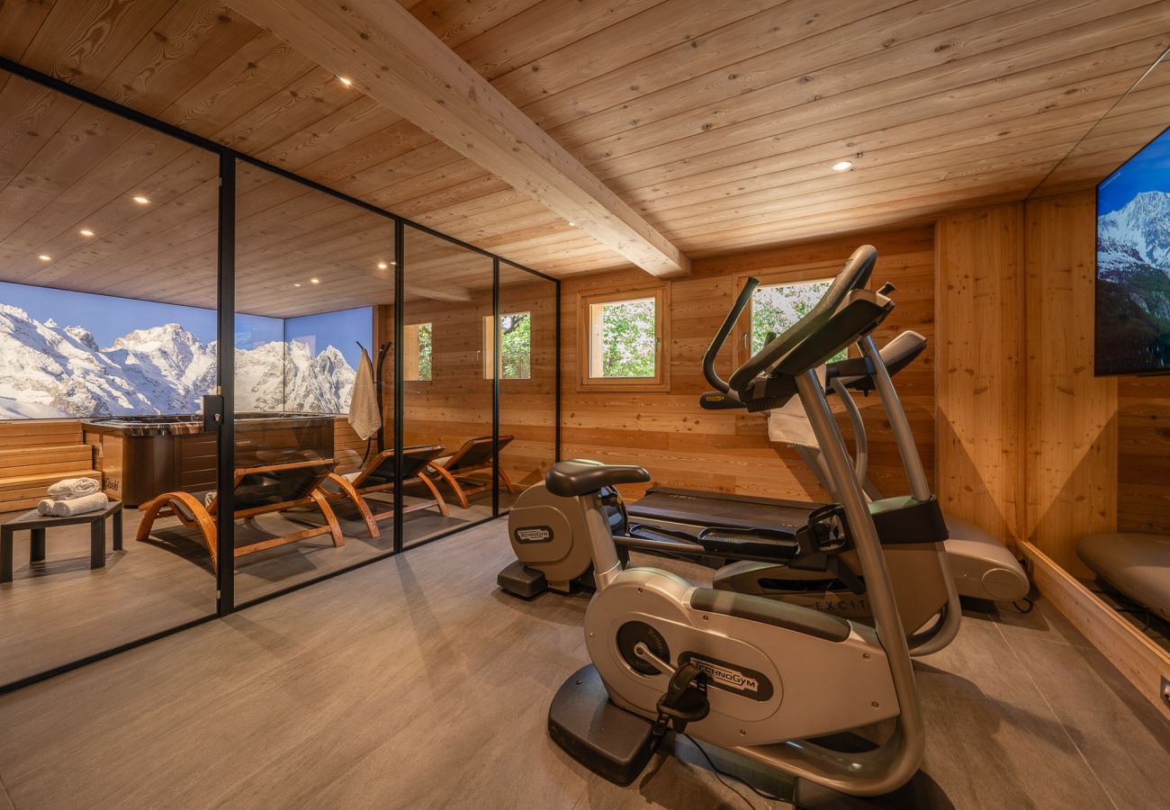 Chalet à La Salle-les-Alpes - Chalet Dibona